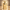 SAPHIRE PARADISE BY LE BONHEUR 100ML/3.4 FL OZ